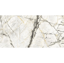 Feinsteinzeug Wand- und Bodenfliesen Calabria Golden Ice glänzend poliert 60 x 120 x 0,85 cm