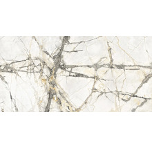 Feinsteinzeug Wand- und Bodenfliesen Calabria Golden Ice glänzend poliert 60 x 120 x 0,85 cm