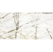 Feinsteinzeug Wand- und Bodenfliesen Calabria Golden Ice glänzend poliert 60 x 120 x 0,85 cm