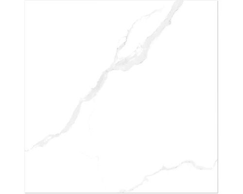 Feinsteinzeug Wand- und Bodenfliese Topas Marble White Grey 60 x 60 x 0,7 cm glänzend rektifiziert