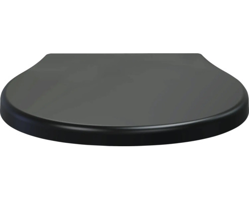 Toilettendeckel aus Kunststoff