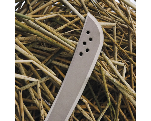 Machetenkopf vor trockenem Gras