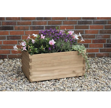 Holzblumenkasten mit verschiedenen Pflanzen im Garten