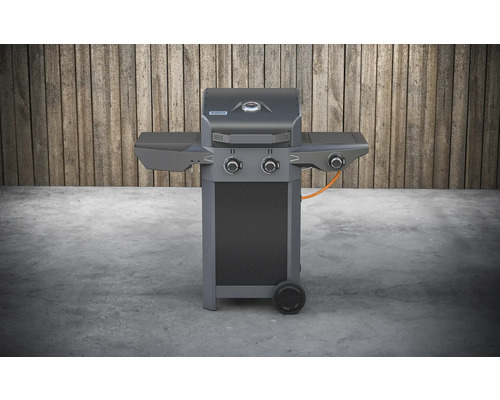 Gasgrill mit zwei Brennern und zwei Ablageflächen