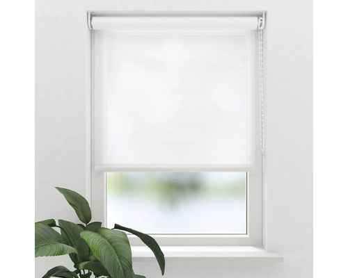 Weißes Rollo am Fenster für Sichtschutz und Verdunkelung
