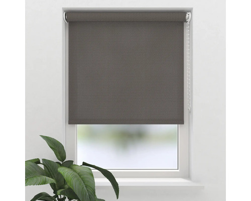 SOLUNA Tageslichtrollo D17 Sandiego grey 50x190 cm
