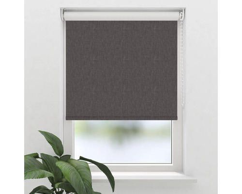 Verdunkelungsrollo am Fenster