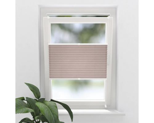 SOLUNA Faltenplissee mit Seitenverspannung ohne Bohren rosa 55x130 cm Plissee im Fenster zur Lichtregulierung und zum Schutz der Privatsphäre
