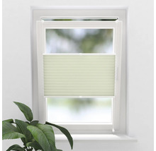 Fenster mit Plissee-Rollo zur Lichtregulierung