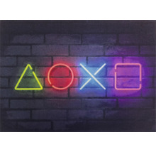 Schmutzfangmatte Entry Gaming Signs Antra 50x70 cm