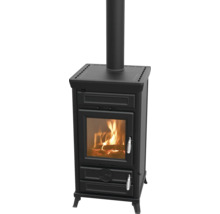 Kaminofen Thermorossi Ilaria Evo Easy Gusseisen anthrazit 10,8 kW mit Wärmefach