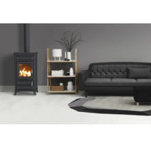 Kaminofen Thermorossi Ilaria Evo Easy Gusseisen anthrazit 10,8 kW mit Wärmefach