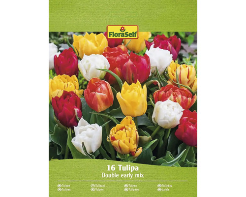 Blumenzwiebel Tulpe FloraSelf Gefüllte Mischung 'Double Early Mix' 16 Stück