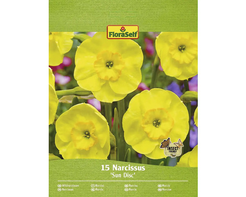 Blumenzwiebel Narzisse FloraSelf ' Sundisc ' 15 Stück