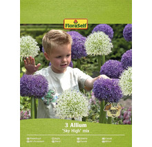 Verpackung mit drei Allium ''Sky High'' Mix Blumenzwiebeln