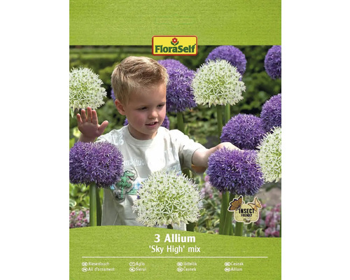Blumenzwiebel Zierlauch FloraSelf ' "Sky High" Mischung ' 3 Stück