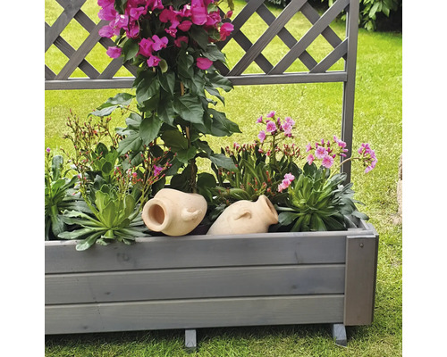 Balkonkasten mit Rankgitter und Bepflanzung im Garten