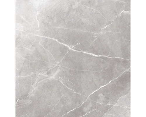 Feinsteinzeug Wand- und Bodenfliese Topas Marble Light Grey 60 x 60 x 0,7 cm glänzend rektifiziert