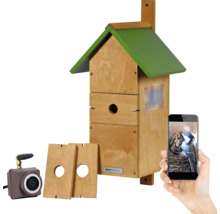 Vogelhaus mit Kamera, Smartphone und zusätzlichen Einfluglöchern