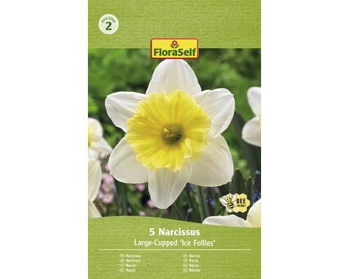 Blumenzwiebel Narzisse FloraSelf ' Ice Follies ' 5 Stück