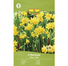Packung Narzissenzwiebeln der Sorte Tête à Tête mit sechs Stück, FloraSelf Logo und Bienenfreundlich Symbol
