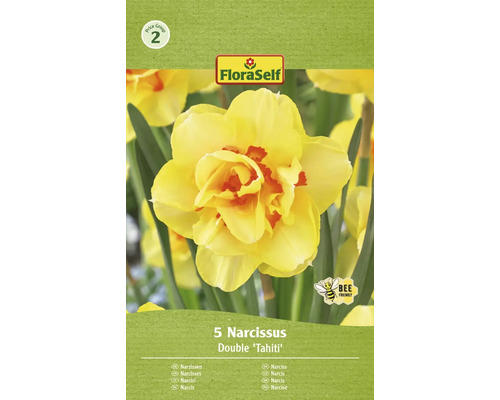 Blumenzwiebel Narzisse FloraSelf ' Tahiti ' 5 Stück