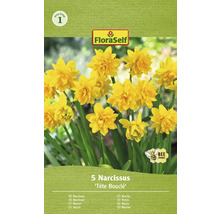 Verpackung Narzissen Tête Bouclé, bienenfreundlich