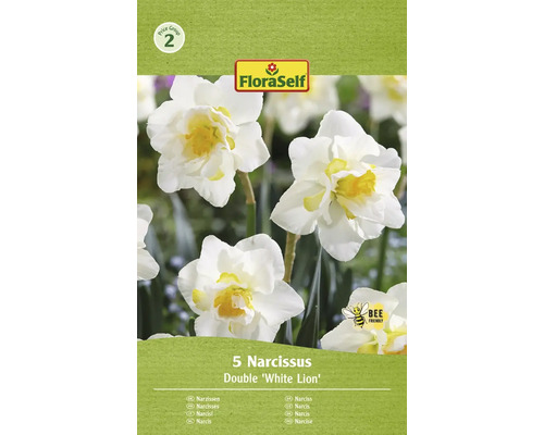 Packung mit 5 Narzissen der Sorte Double White Lion