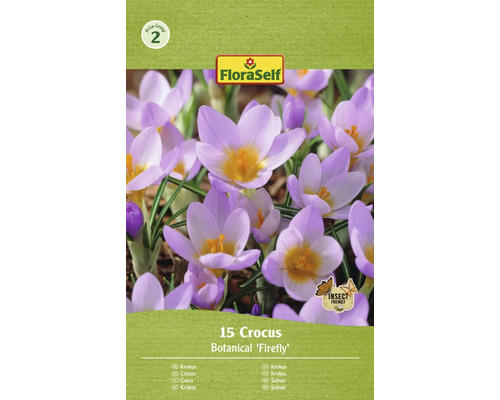Blumenzwiebel Krokus FloraSelf ' Firefly ' 15 Stück