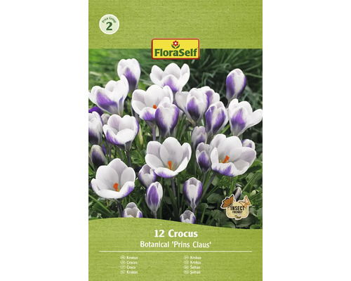 Blumenzwiebel Krokus FloraSelf ' Prins Claus ' 12 Stück