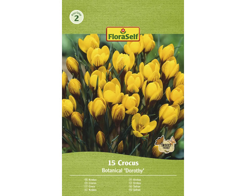 Blumenzwiebel Krokus FloraSelf ' Dorothy ' 15 Stück