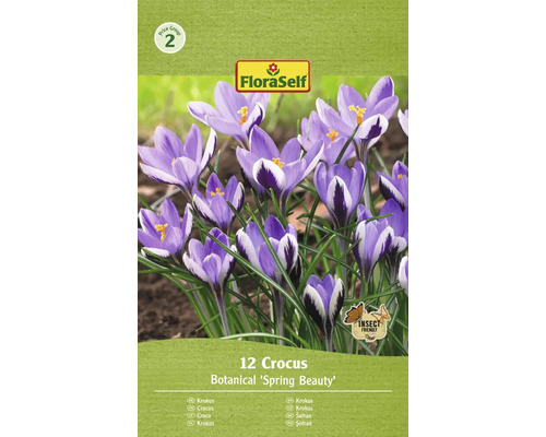Blumenzwiebel Krokus FloraSelf ' Spring Beauty ' 12 Stück