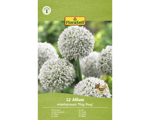 Verpackung Zierlauch Allium ampeloprasum ''Ping Pong''