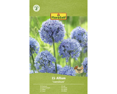 Blumenzwiebel Zierlauch FloraSelf ' Caeruleum ' 15 Stück