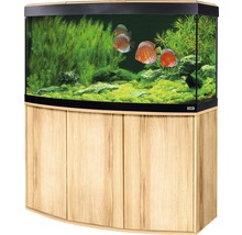 Aquarium mit Unterschrank, bepflanzt und mit Fischen