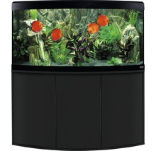 Eingerichtetes Aquarium mit Unterschrank, Fischen und Pflanzen
