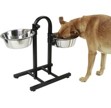 Verstellbarer Futterständer mit zwei Edelstahlnäpfen und einem Hund, der daraus frisst.