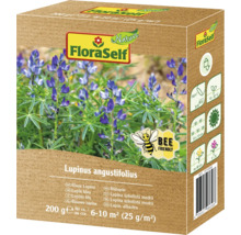 Lupine FloraSelf Blumensamen