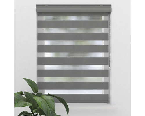 Graues Doppelrollo am Fenster für die Lichtregulierung.