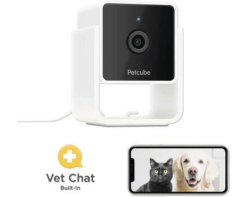 Petcube Überwachungskamera für Haustiere mit Tierarzt-Chat-Funktion