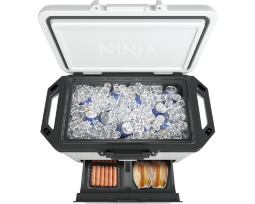 Geöffnete Kühlbox mit Eis, Getränkedosen, Würstchen und Brötchen