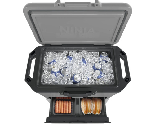 Geöffnete Kühlbox mit Eis, Getränkedosen, Würstchen und Brötchen