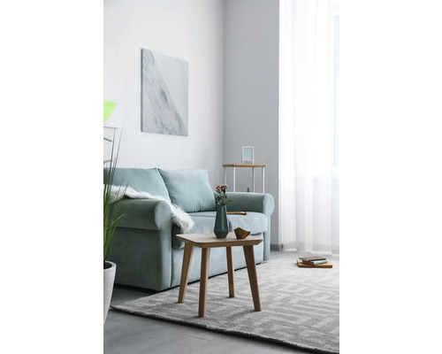Wohnzimmer mit Sofa, Couchtisch und Teppich