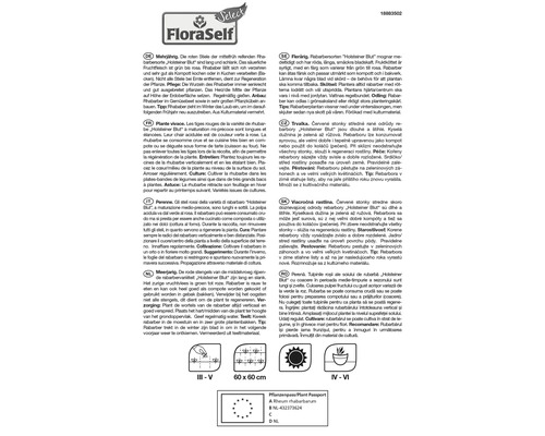 Informationen zu Rhabarber Holsteiner Blut mit Anbauhinweisen