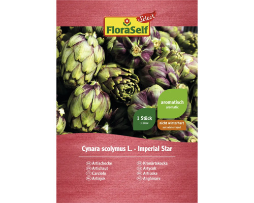 Artischocken-Samen von FloraSelf