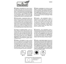 Informationen zur Ingwerpflanze mit Pflanzanleitung, Topfgröße und Pflanzenpass