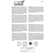 Informationen zur Erdbeersorte White Pineberry, Pflanzanleitung, Pflanzabstand 30 x 30 cm, Pflanzenpass