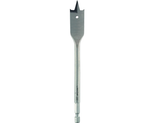 Flachfräsbohrer 19 Mm – Für Holz & Gipskarton, 1/4" Sechskant-Aufnahme