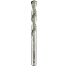 Hartmetall Steinbohrer Alpen Ø 4 mm Long Life