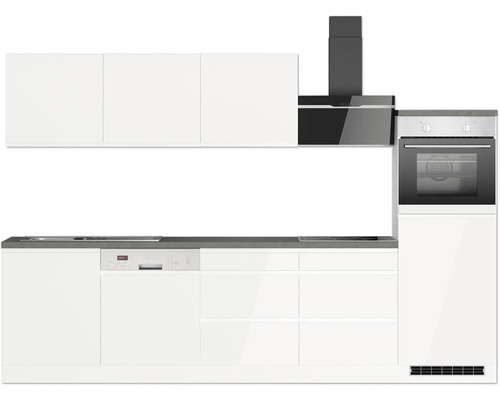 Küchenzeile mit Spüle, Geschirrspüler, Herd, Dunstabzugshaube und Backofen